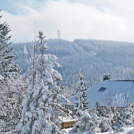 Premium-Ferienwohnungen Bergblick Im Haus Hopfe ゴスラー エクステリア 写真
