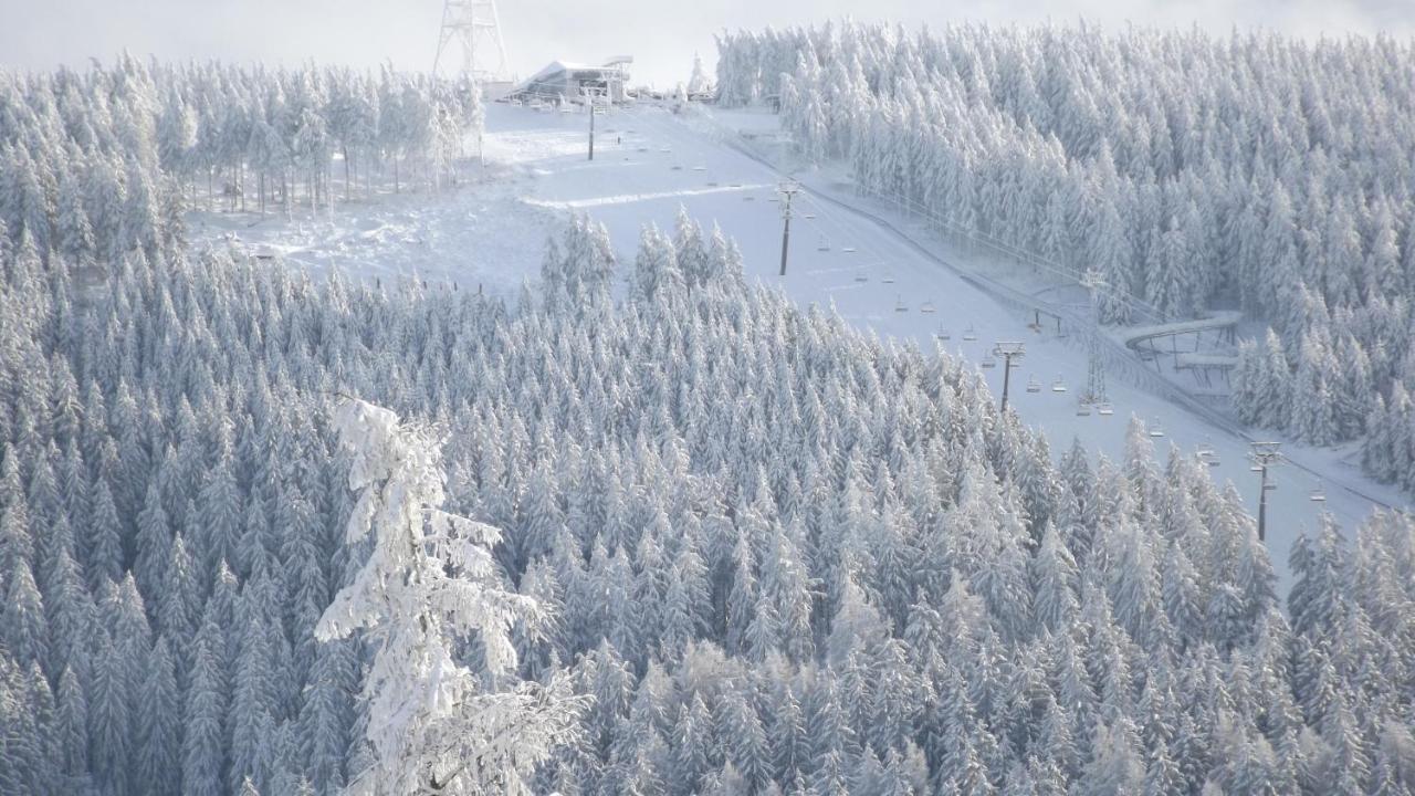 Premium-Ferienwohnungen Bergblick Im Haus Hopfe ゴスラー エクステリア 写真