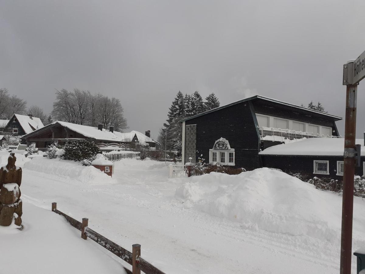 Premium-Ferienwohnungen Bergblick Im Haus Hopfe ゴスラー エクステリア 写真
