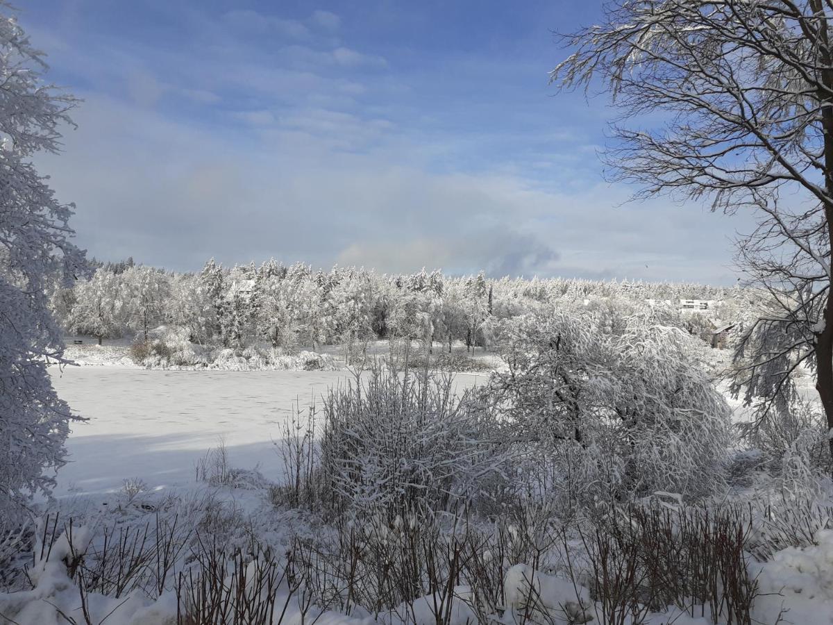 Premium-Ferienwohnungen Bergblick Im Haus Hopfe ゴスラー エクステリア 写真