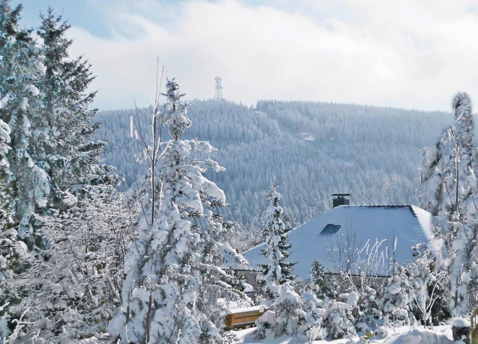 Premium-Ferienwohnungen Bergblick Im Haus Hopfe ゴスラー エクステリア 写真