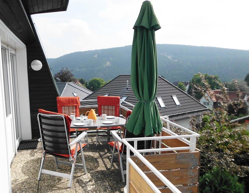 Premium-Ferienwohnungen Bergblick Im Haus Hopfe ゴスラー エクステリア 写真