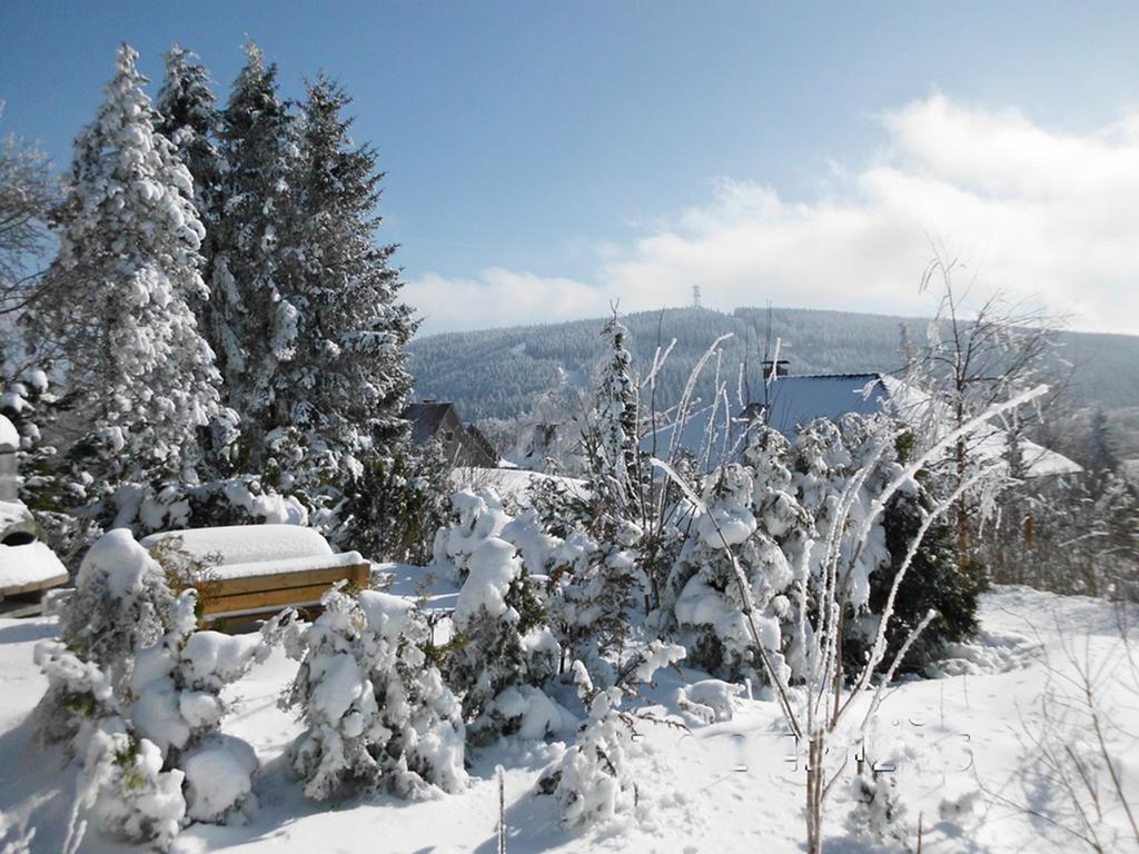 Premium-Ferienwohnungen Bergblick Im Haus Hopfe ゴスラー エクステリア 写真