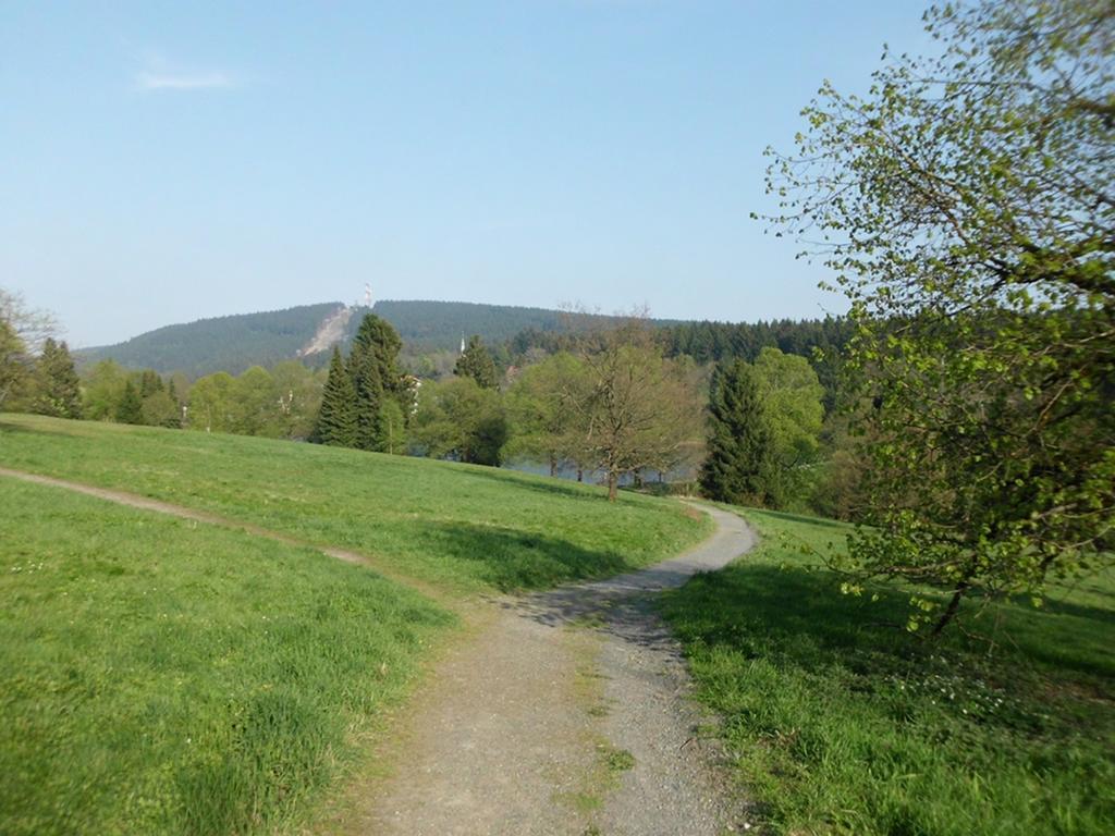 Premium-Ferienwohnungen Bergblick Im Haus Hopfe ゴスラー エクステリア 写真