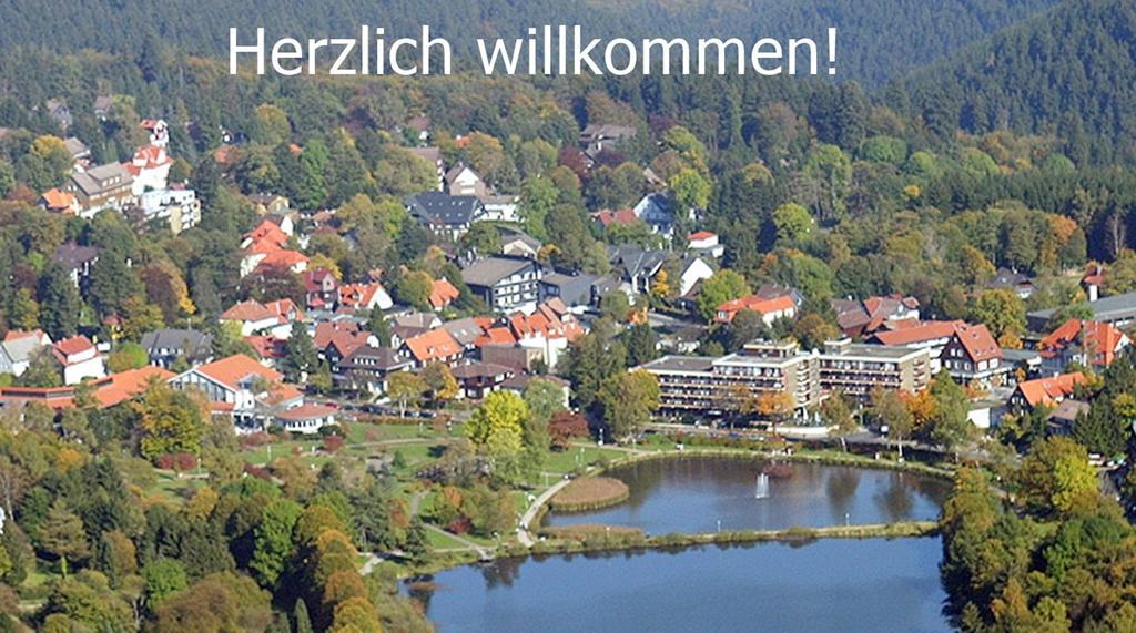Premium-Ferienwohnungen Bergblick Im Haus Hopfe ゴスラー エクステリア 写真