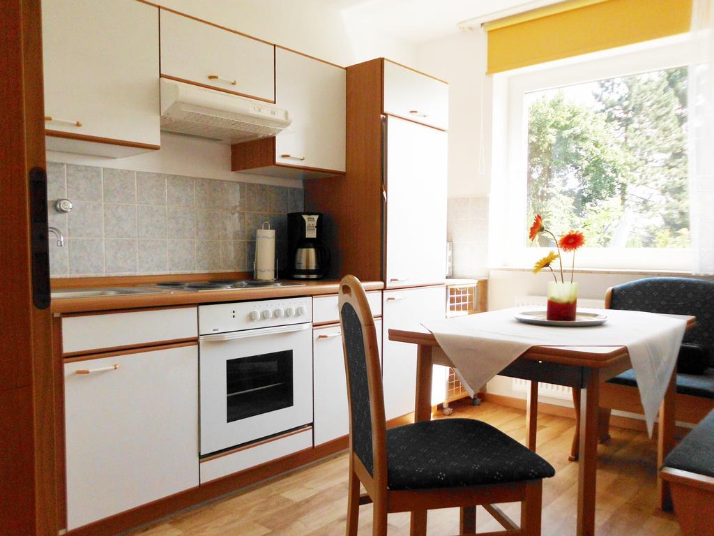 Premium-Ferienwohnungen Bergblick Im Haus Hopfe ゴスラー エクステリア 写真