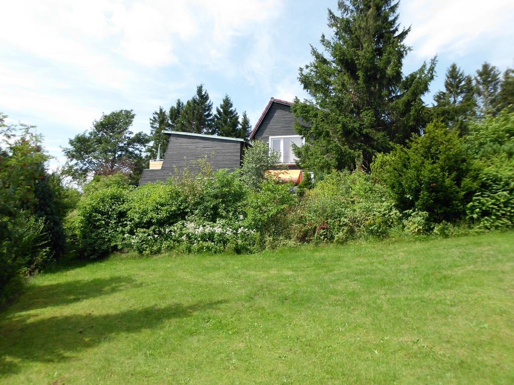 Premium-Ferienwohnungen Bergblick Im Haus Hopfe ゴスラー エクステリア 写真