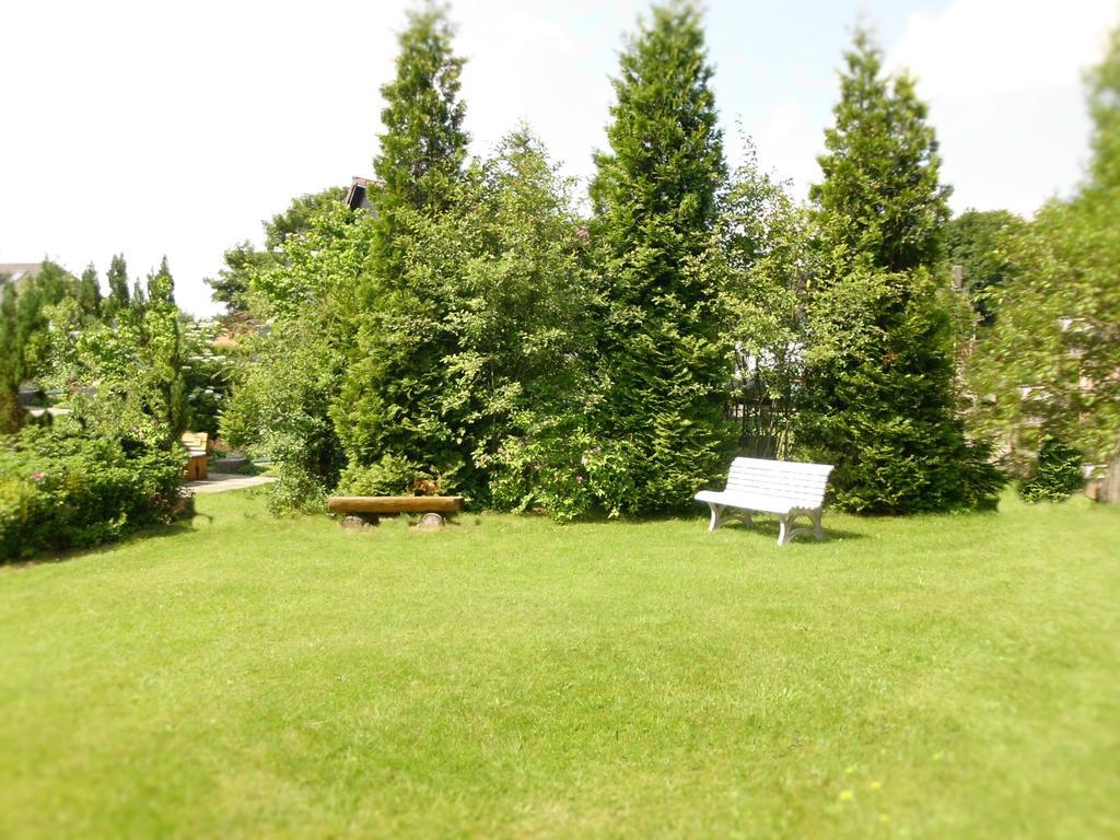 Premium-Ferienwohnungen Bergblick Im Haus Hopfe ゴスラー エクステリア 写真